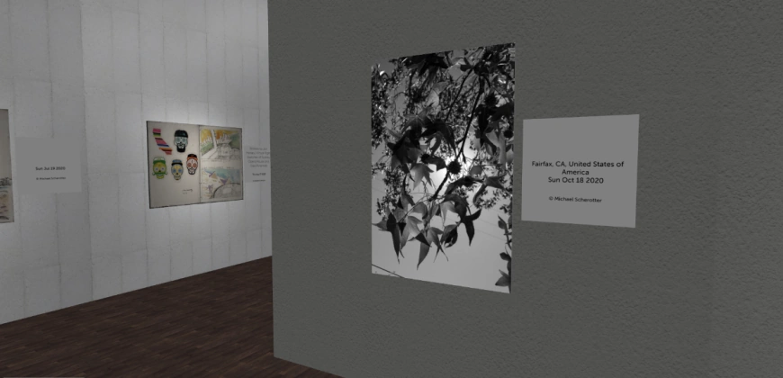 image of a gallery with artwork in it