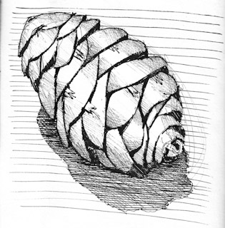 Pinecone