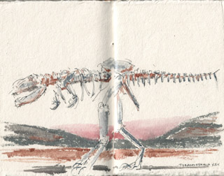 Tyrannosaurus Rex Skeleton