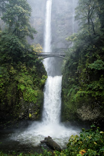 Multnomah's Plunge