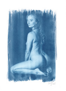 Cyanotype  #9756, 2021