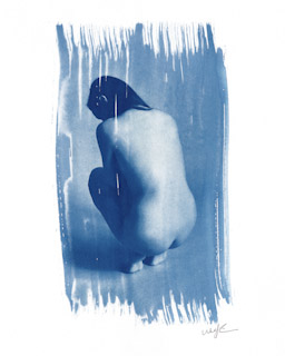 Cyanotype  #1837, 2009