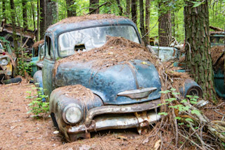 Forest's Chevrolet