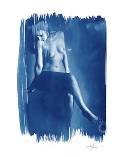 Cyanotype  #1940, 2009