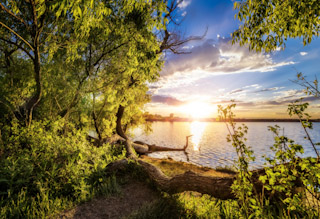 Summer at Bingham Lake