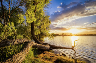 Evening at Bingham Lake
