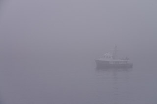 Foggy Fishing