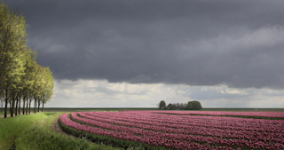 Fotofestival Naarden