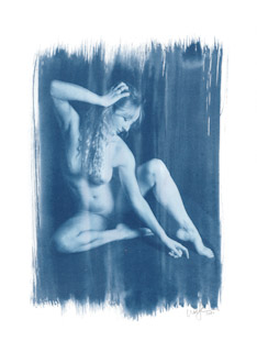 Cyanotype  #9696, 2021