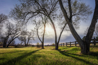 Riva Ridge Park