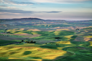 Palouse Fields