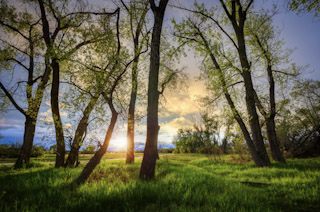 Sunset at McCabe Meadows