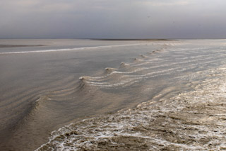 12. Wad n zee