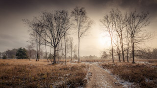 23. Kampina