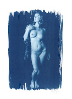 Cyanotype  #9780, 2021