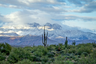 Desert Snow