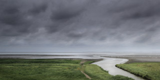 Foto Individueel - Brons
