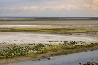 13. t Wad