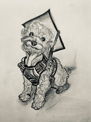 Duty's Best Friend