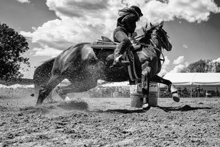 Rodeo