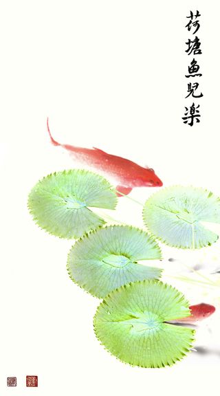 Nymphaea #14