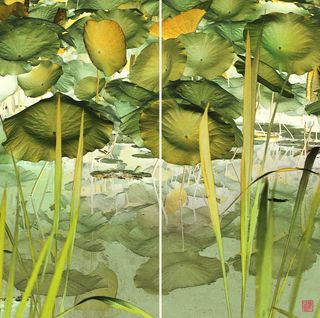 Nymphaea #30