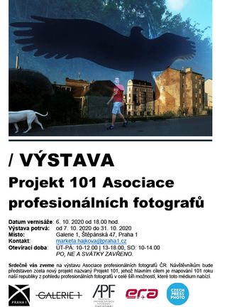 Projekt 101