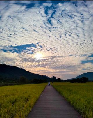 A Paved Road Through the Grasslands and Beyond