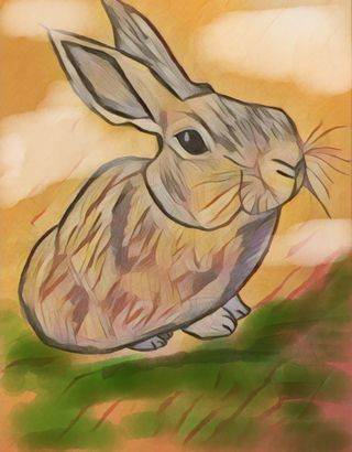 Bunny Bunny!