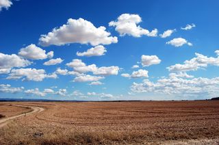 Plains Under the Sky