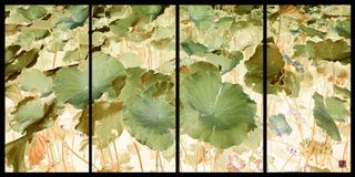 Nymphaea #26