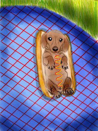 Picnic Paws: A Whimsical Treat