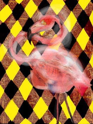 The Harmonic Bird
