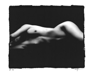 Platinum Print #8959, 2008