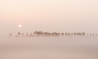 80. Roze ochtend
