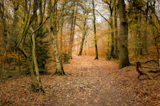 Herfstwandeling