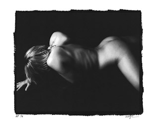 Platinum Print #1535, 2008