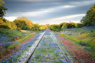 Flower Rails