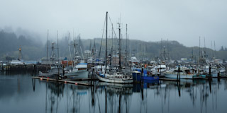 Salmon Harbor