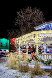 Christmas at O'Brien Park
