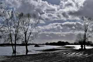 Fotobond in the picture