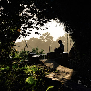 Yangmingshan Walk