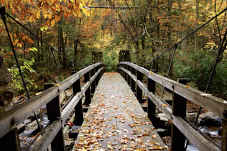 Bridging Autumn
