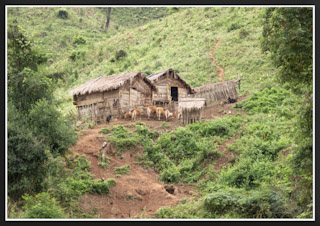 MEKONG FARMHOUSE